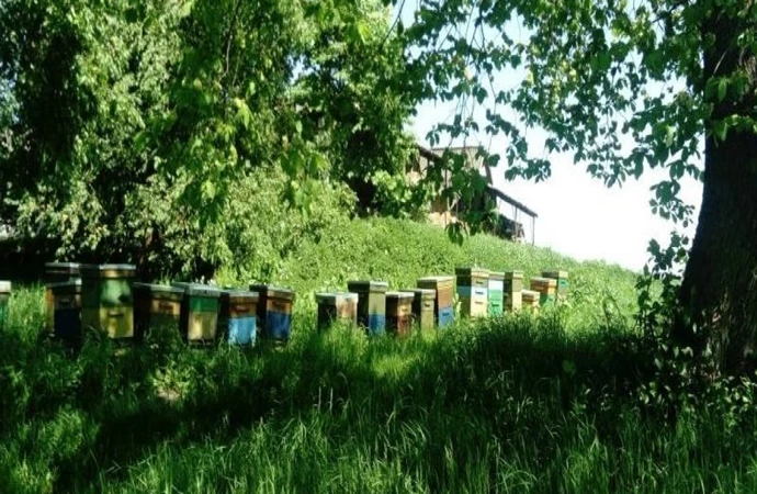 {Do Sieci „Dziedzictwo Kulinarne Warmia Mazury Powiśle” dołączyły trzy nowe podmioty.}